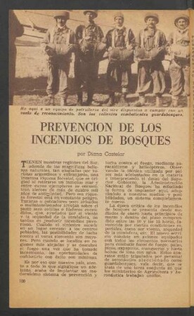 Prevención de los incendios de bosques