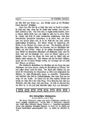 Ein biologischer Schulgarten