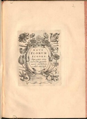 Novae Florum Icones : huius generis artium cultoribus perutiles maxima cura delineatae et tabulis aeneis incisae
