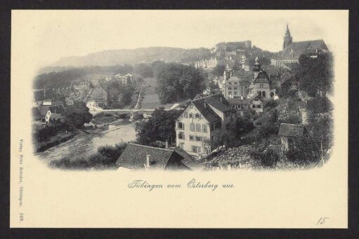 15, Tübingen vom Österberg aus.