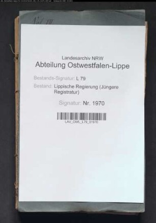 Regulierung der lippisch-preußischen Grenze, Band 7