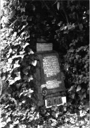Grabstein 255 (Index: 100102007) Material: Kalkstein, weißer Marmor bei Aufsatz und Schriftplatte Zustand: leicht verwittert Maße HxBxT: 169x56x48 cm Beschreibung: Postament mit Urnenaufsatz auf Sockel, Schriftplatte in Pergamentrollenform Symbolik: Urnenaufsatz Besonderheit: Kindergrab: Grabstein 255