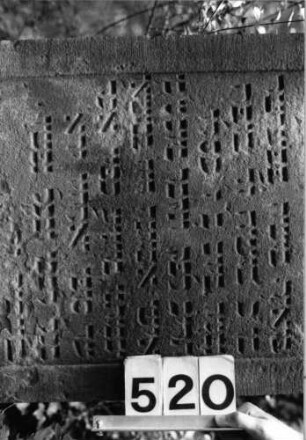 Grabstein 520 (Index: 99802704) Material: Sandstein Zustand: unten abgeblättert Maße HxBxT: 128x57x10 cm Beschreibung: Sock/Stele mit verdachtem Rundbogen, profiliertem Rand: Grabstein 520 (Detailaufnahme 1)