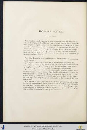 Troisième Section. De l'Axe Spinal.