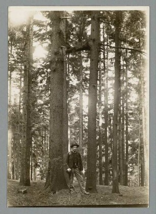 Portrait eines Mannes im Wald