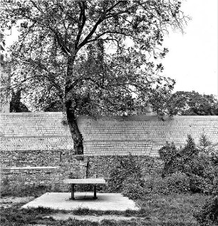Eingemauerter Baum im Hirschhof
