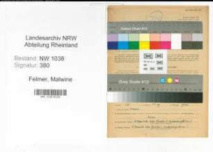Entnazifizierung Malwine Felmer , geb. 06.02.1895 ()