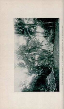 Graf van den mijningenieur W. H. de Greve te Doerian-Gedang an de Kwantan-rivier
