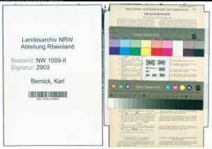 Entnazifizierung Karl Bernick , geb. 09.06.1887 (Pfleger)