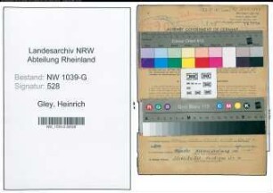 Entnazifizierung Heinrich Gley , geb. 16.02.1901 (Krankenwaerter)