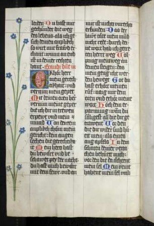 Initiale (Lombarde), Ranke