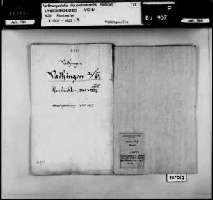 Vaihingen/Enz: Pfarrberichte und Pfarrbeschreibungen