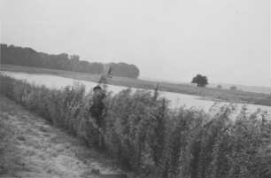 Uferschutz an der Aller
