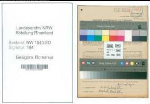 Entnazifizierung Romanus Gesigora , geb. 24.07.1907 (Lehrer)