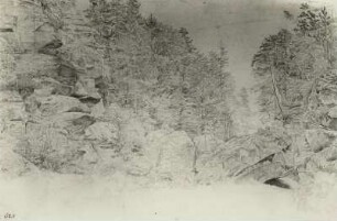 Felsen und Baumgruppen im Rabenauer Grund