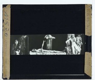 Kollwitz, Zertretene (Druck, Kn 49)