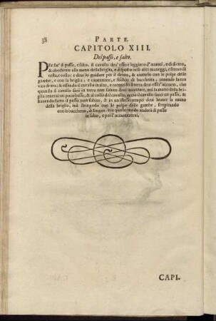 Capitolo XIII.