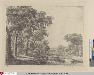 [Ein Waldesrand mit einer kleinen Holzbrücke; The entrance to a forest by a small wooden bridge]