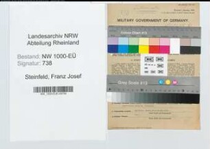 Entnazifizierung Franz Josef Steinfeld, geb. 09.04.1907 (Kaufm.Angest.)