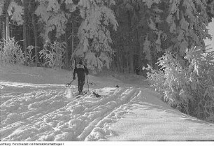 Erzgebirge. Wintersportmeisterschaften: Langlauf, Volkssport, im Erzgebirge im Beisein von Ministerpräsident Max Seydewitz, 1950