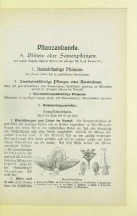 Pflanzenkunde