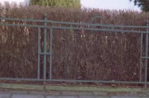Bahnhofstraße 1: traufständiges Wohnhaus: Gartenzaun, Detailaufnahme: Pfosten aus Schmiedeeisen: dahinter Gartenhecke