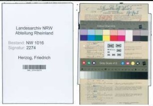 Entnazifizierung Friedrich Herzog , geb. 21.12.1908 (Steuerinspektor)