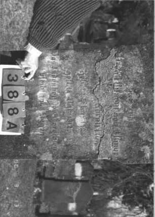 Grabstein 388 (Index: 99786176) Zustand: Inschrifttafel fehlt, Rückseite leicht verwittert Maße HxBxT: 203x64x27 cm: Grabstein 388A