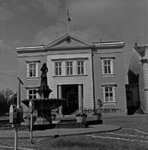 Historisches Rathaus: Hagenstraße / Marktplatz: links Gänseliesel-Brunnen mit Blumenschmuck und Parkuhren: rechts Hausecke