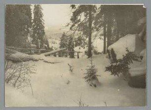 Überm Zackelfall im Riesengebirge