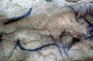 Grotte du Portel: SW200508
