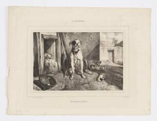 Boule-Dogue