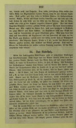 34. Das Nadelholz