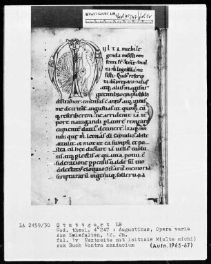 Augustinus, Libri contra mendacium — Initiale M (ulta michi) mit einem Pfau, Folio 1verso