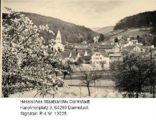 Seeheim an der Bergstraße, Panorama