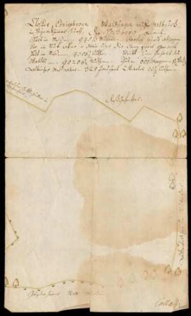 "Kloster Königsbronn. Waldungen auf dem Albuch in Steinheimer Hut, der Hochberg genannt"