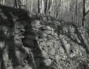 Radebeul, Augustusweg 110. Park der Villa "Jägerberg". Mauer eines ehemaligen Weinberges