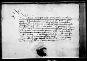 Graf Alwig von Sulz quittiert über je 100 Malter Dinkel und Haber.