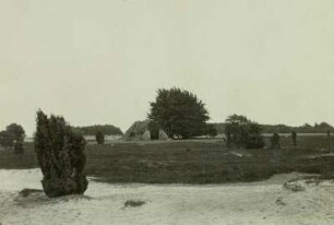 Lüneburger Heide. Schafstall