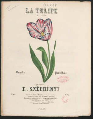 La tulipe : Mazurka ; pour le piano