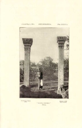Plate XXXVI. B. Anurádhapura. "Mayúra pirivena". Pillars.