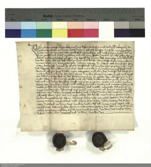 Lehenauftrag des Gilbrecht Wais bezüglich eines Hauses und eines Hofs in Echzell für Johann [I. von Henneberg], Abt von Fulda