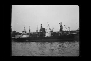 Billetal (1953), Frachtschiff, Reinecke, Hamburg, Bau-Nr. 1279