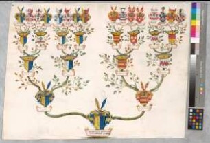 Proband: Plettenberg, Wilhelm von; Vater: Plettenberg, [Bernhard] von; Mutter: Fürstenberg, [Odilia] von: Deutscher Orden