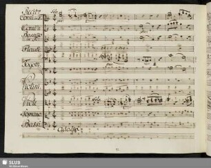 Recit[ati]vo [acc.]: Silenzio o Muse