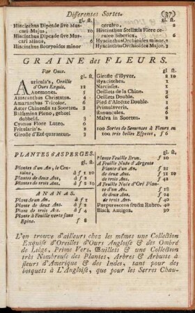Plantes d'Asperges