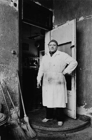 Fleischer