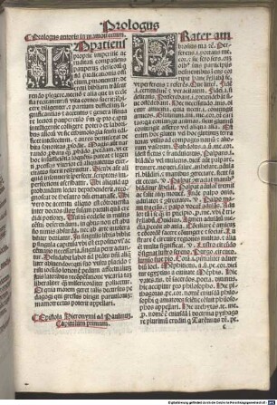 Mammotrectus super bibliam