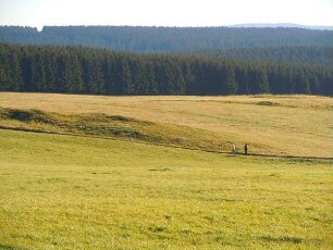Wälder und Wiesen bei Elbingerode : Wälder und Wiesen bei Elbingerode. Aufgenommen im Harz am 23. Oktober 2011