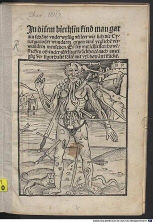 In disem Biechlein find man gar ain schöne underwysung ... wie sich die Cyrurgici ... gegen ainen yeglichen verwundten menschen ... halten sollen